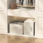 Shoe Organizer Box Set with Adjustable Dividers