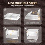 12-Pack Stackable Clear Shoe Storage Boxes