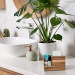 Acacia Wood Tissue Box Cover and Organizer