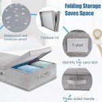 Underbed Storage Bins with Lids and Handles