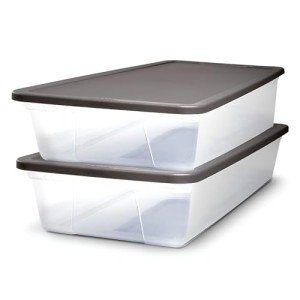 2-Pack Small Clear Storage Bins with Lids