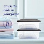 2-Pack Small Clear Storage Bins with Lids