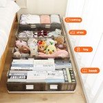 2-Pack Wheeled Under Bed Storage Bins - Foldable