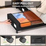 Rolling Under Bed Storage Bins with Clear Lids - 2-Pack