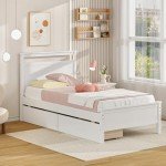 Giantex Twin Bed with 2 Storage Drawers