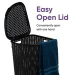 Triangle Plastic Laundry Hamper with Lid - 2 Pack