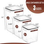 Large Airtight Food Storage Containers Set, 10 Pack