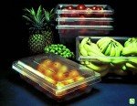 Rubbermaid 3.5 Gallon Food Storage Box