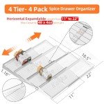 4-Tier Clear Acrylic Spice Drawer Organizer Set