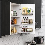 Moforoco Wall-Mount Spice Rack Organizer (6-Pack)