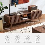 Mid-Century Modern TV Stand with Storage - Walnut
