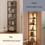 6-Tier Corner Shelf with LED Light - Black