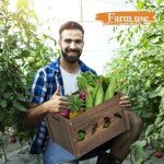 Rustic Wooden Crates - 2 Pack for Storage