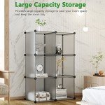 6-Cube Storage Organizer for Home or Office