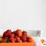 21-Pack Colorful Plastic Serving and Organizer Trays