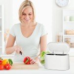 Mini Trash Can with Lid - Removable Small Garbage Can, Tiny Plastic Trash Bin, Pop Up Countertop Wastebasket, Counter Garbage Lint Bin for Bathroom,Office,Kitchen,Desk,Coffee Table(White)