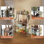 SINGAYE Ball Storage Shelves Shelving Garage Sports Equipment Organizer Basketball Holder Garage for Sports Gear and Toys Rolling Ball Cart with Wheels for Indoor Outdoor Use