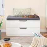 MAISON ARTS Shoe Storage Bench with Padded Seat Cushion, Premium MDF Benches with 2 Drawers for Entryway, Hallway, Bedroom - White