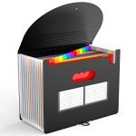 Maimis Accordion File Folder, 12 Pocket Expanding Desktop File Keeper with Labels, Portable Monthly Bill Receipt Document Storage Organizer, Letter/A4 Size
