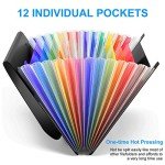 Maimis Accordion File Folder, 12 Pocket Expanding Desktop File Keeper with Labels, Portable Monthly Bill Receipt Document Storage Organizer, Letter/A4 Size