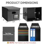 BALEINE File Organizer Box with Lid, Collapsible File Folder Organizer with Plastic Slide, Hanging File Folder Box for Office Document Storage (1 Pack, Black)