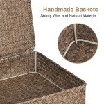 FOSSORH Set of 2 Flat Seagrass Storage Bins with Lid Wicker Storage Baskets for Organizing, Woven Shelf Organizer Bins Home Utility Organizer Box for Home & Office Supplies(Coffee)