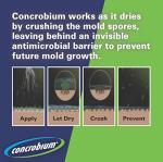 Concrobium 27400CAL Mold Control Aerosol, 14.1 oz