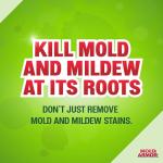 Mold Armor Professional Brand Mold Kill & Control Spray, 32 oz., Mold & Mildew Remover, Visible Results in Minutes, Eliminates Bacteria & Viruses