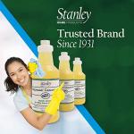 STANLEY HOME PRODUCTS Degreaser Concentrate - Makes 64 Gallons - Removes Stubborn Grease & Grime - Multipurpose Cleaner for Home & Commercial Use