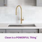 Rejuvenate Garbage Disposal and Drain Pipe Cleaner Powerful Foaming Action and Removes Garbage Disposal Smells 6 Unit Pack Lavender Scent