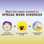 MRS. MEYER'S CLEAN DAY All-Purpose Cleaner Spray, Compassion Flower, 16 fl. oz (Pack of 3)