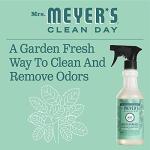 MRS. MEYER'S CLEAN DAY All-Purpose Cleaner Spray, Limited Edition Mint, 16 fl. oz - Pack of 3