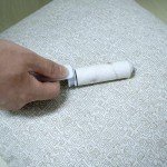 Small Lint Roller Travel Size Lint Remover for Pet Hair Cute Lint Roller with Cover Mini Purse Resuable Lint Roller (Gray)