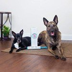 Mammoth Lint Roller- 2 Refill Pack, 90 Sheets per Roll, Perfect for Pets, Extra Large Lint Roller (180 Sheets Total)