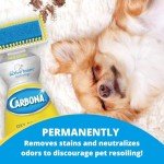 Carbona Oxy-Powered Pet Stain & Odor Remover | Carpet Cleaner for Pets | 13.5oz