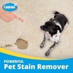 Carbona Oxy-Powered Pet Stain & Odor Remover | Carpet Cleaner for Pets | 13.5oz