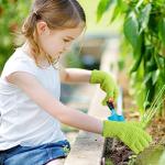 6 Pcs Window Venetian Blind Cleaner Duster Tool 2 Pcs 7 Fingers Dusting Cleaner Tool 2 Pcs Shutter Cleaner Brush and 2 Pairs Cleaning Gloves for Air Conditioner Keyboard Fan Dirt House Dust Cleaner