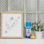 Sprayway Ammonia-Free Glass Cleaner, Foaming Action - Streakless Shine, 15 Ounce (Pack of 1)