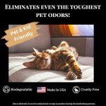 Powerful Fresh Linen Scented Fabric & Upholstery Deodorizer & Freshener Powder. Odor Eliminator,Pet Safe, Multipurpose formula. Use for furniture,carpet,rug,mattresses