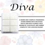 Lumintrail Tyler Candle Mixer Melts, Diva Scent, Set of 4 Scented Wax Tarts for Wax Warmers (6 Tarts per Bar, 24 Tarts Total)- Bundle with a Stain Remover Pen - Wax Melt Warmer for Home Fragrance