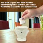 Lumintrail Tyler Candle Mixer Melts, Diva Scent, Set of 4 Scented Wax Tarts for Wax Warmers (6 Tarts per Bar, 24 Tarts Total)- Bundle with a Stain Remover Pen - Wax Melt Warmer for Home Fragrance