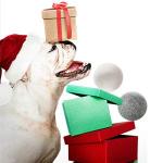 OHOCO Wool Dryer Balls 6 Pack XL, Organic Natural Wool for Laundry, Fabric Softening - Anti Static, Baby Safe, No Lint, Odorless and Reusable Gray