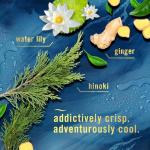 Febreze Plug in Air Freshener, Odor-Fighting Scented Oil Starter Kit, Air Fresheners for Home and Bathroom and Kitchen, Long Lasting for Strong Odors, Ocean Scent, Warmer + 2 Refill