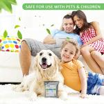 NIYIKOW Charcoal Bags Odor Absorber (Large, 4Pack x 200g), Nature Fresh Bamboo Charcoal Air Purifying Bags, Activated Charcoal Odor Absorber for Home, Car, Closet, Pets, Basement Odor Eliminator -Grey