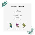 Home-Pourri Air + Fabric Multi-Purpose Odor Freshener Spray, Lavender Sage, 11 Fl Oz - Lavender and Sage