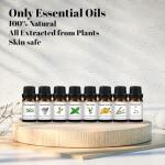 Essential Oils Set - Top 8 Natural Pure Essential Oils for Diffuser for Home, Air Freshening, Humidifiers - Aromatherapy Oils for Massage, Candle&Soap Making, Laundry - Scented Oil Set (10ml)