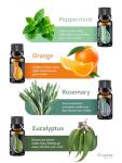 Top 8 Essential Oils Set for Diffuser for Home Aromatherapy Kit with Lavender, Peppermint, Eucalyptus, Tea Tree, Rosemary, Orange, Relief and Sweet Dreams Blends for Humidifiers Natural Pack