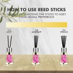 Xcleen 3 Pack Reed Diffuser, Scented Oil Diffuser with 15 Sticks, Escape/Vanilla/Moroccan Amber, Air Freshener for Bathroom & Office, Holiday Home Fragrance, Gift idea, Each 1.7Fl Oz, Total 5.1Oz