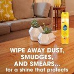 Pledge Enhancing Polish, Wood & Furniture Spray, Orange Scent, 9.7oz (Pack of 3)