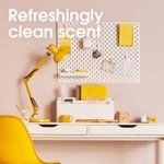 Pledge Multisurface Furniture Polish Spray, Works on Wood, Granite, and Leather, Shines and Protects, Lemon, 9.7 oz (Pack of 2)